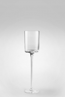 ���.001 Protea 135 ��. ��/6��. - ��������� ��� ����� � ���������� "���� �����"